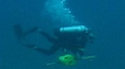 Scuba diver image from SpaceRef news article